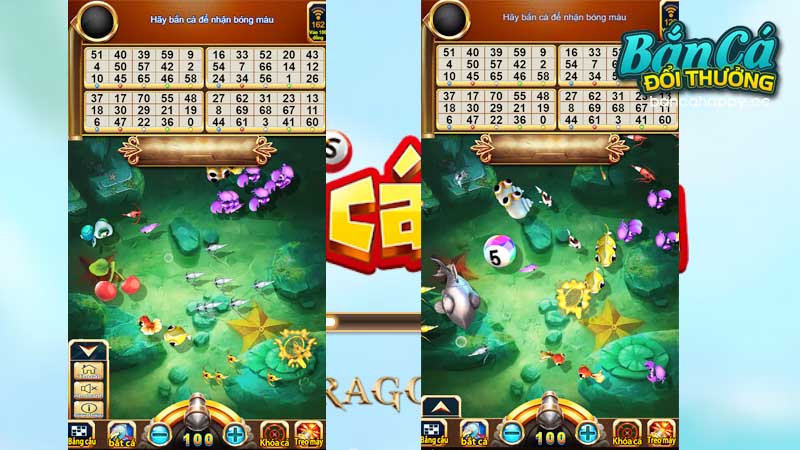 tìm hiểu về giao diện bingo fishing