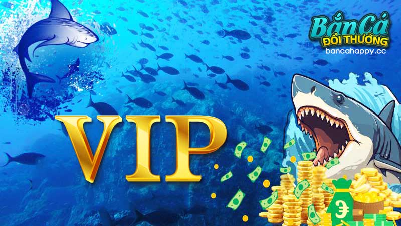 các ưu đãi cho ngư thủ vip