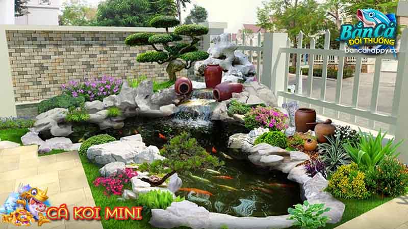 Koi dòng nhỏ mang giá trị thẩm mỹ cao
