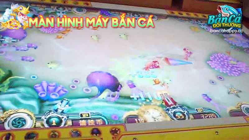 Cách chọn màn hình máy bắn cá