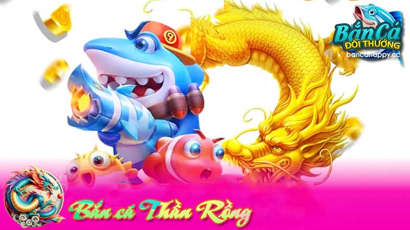 ĐIều khoản bắt buộc trong bắn cá thần Rồng