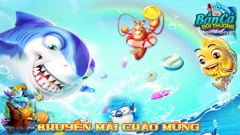 Sức hút, điểm hấp dẫn của chương trình