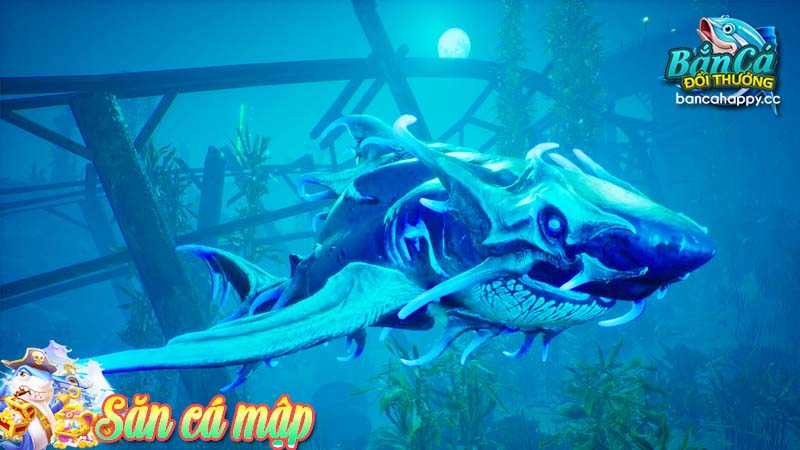 săn cá mập cần được thực hiện hạn chế và kiểm soát