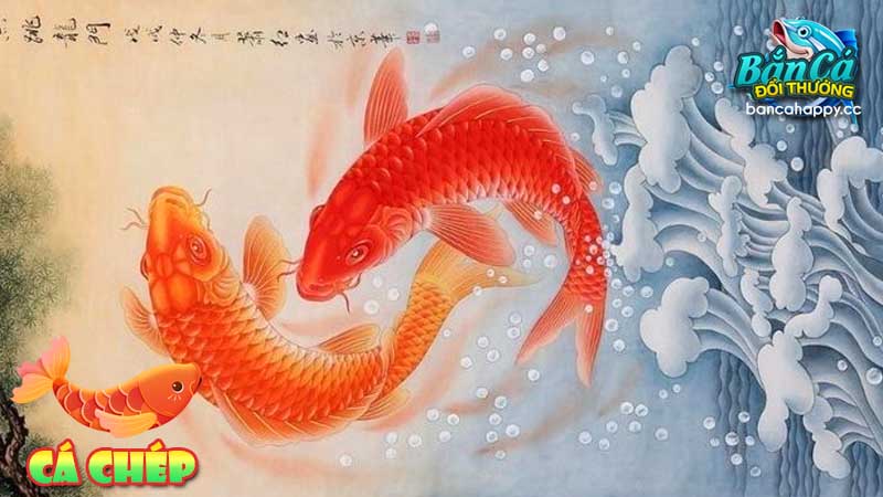 hình ảnh cá chép trong game