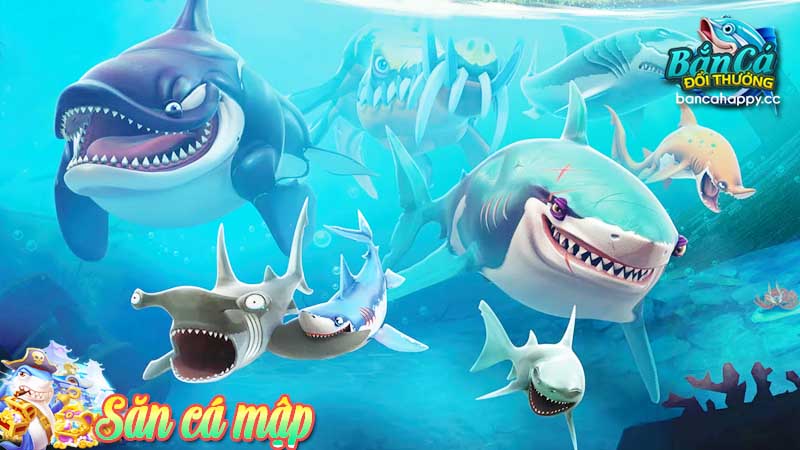 hành trình săn cá mập