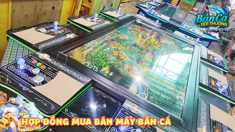 Khái niệm tổng quan