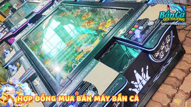 tham khảo mẫu hợp đồng