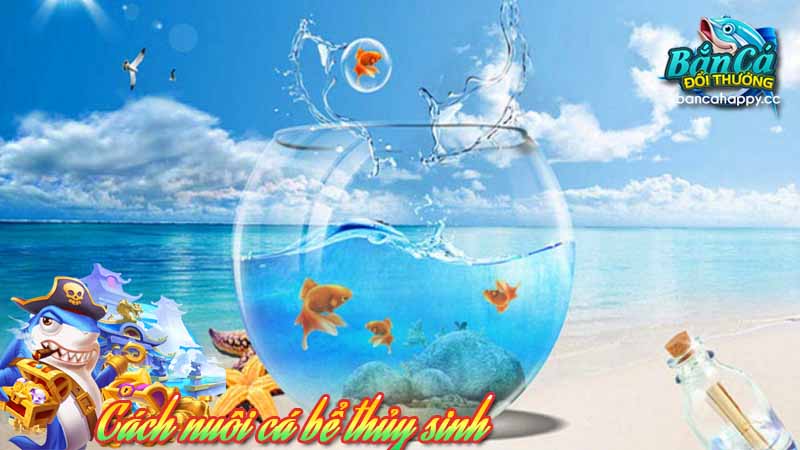 sai lầm trong cách nuôi cá bể thủy sinh khiến cá không sống được