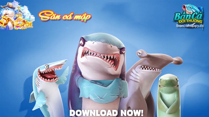 Sức hấp dẫn của việc đi săn loại cá mập