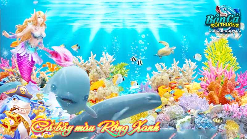 cá bảy màu rồng xanh là biểu tượng của may mắn