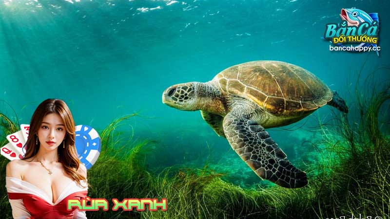 rùa biển màu xanh là gì?