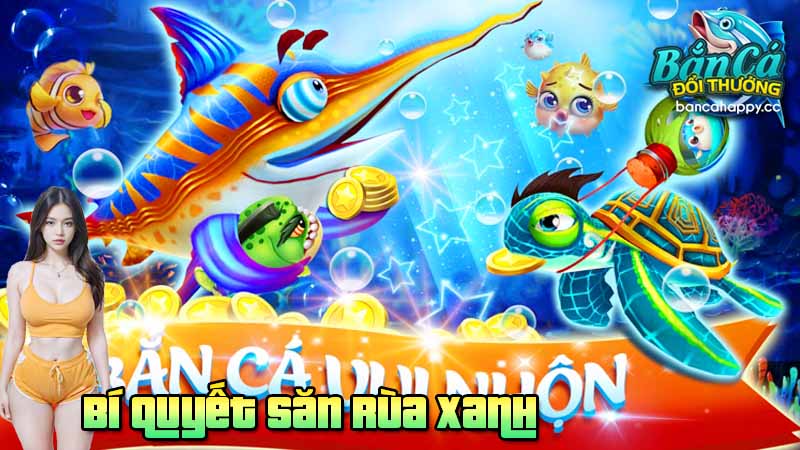 Phân tích hệ số cá để tối ưu chiến thuật