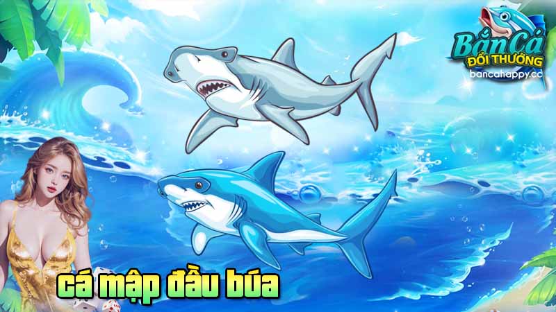 Giới thiệu sinh vật biển khơi cá đầu búa