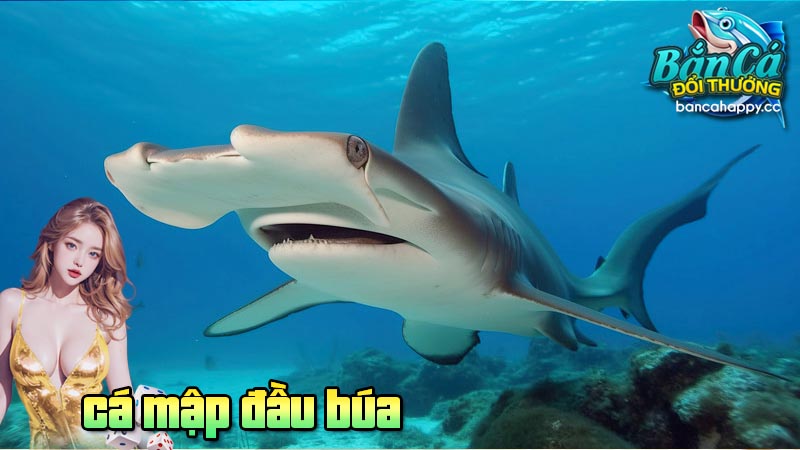 Ý nghĩa thực tiễn của hình ảnh loài cá mập này trong game