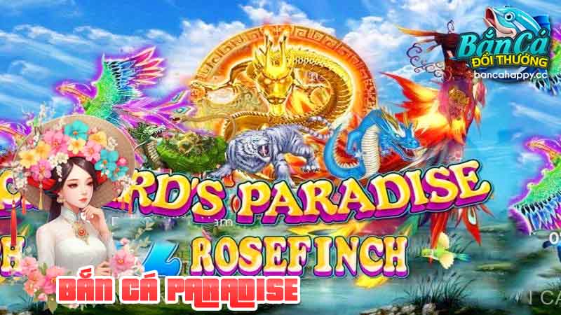 Khái niệm tổng quan trò chơi cho người mới