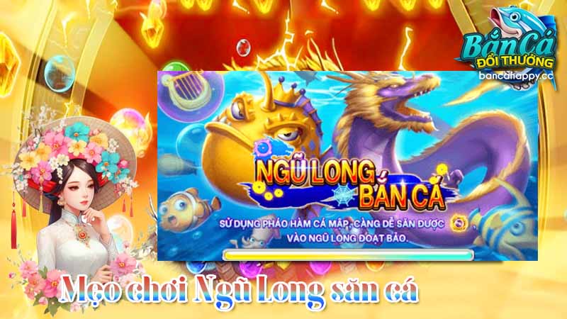 tìm hiểu mẹo chơi thu phục cả đàn cá